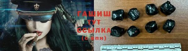 стаф Балахна