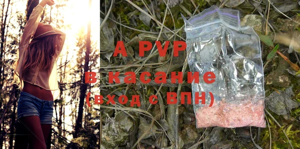 стаф Балахна
