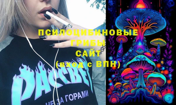 PSILOCYBIN Балабаново