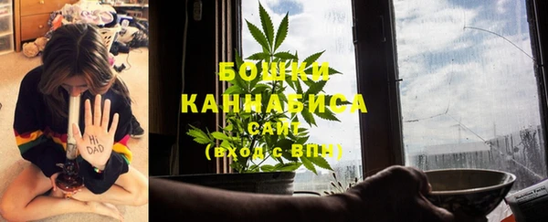 PSILOCYBIN Балабаново