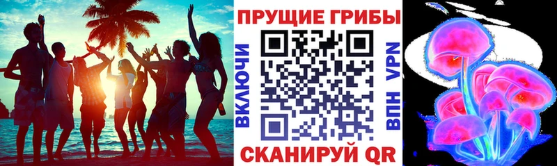где можно купить наркотик  Межгорье  KRAKEN   Галлюциногенные грибы Magic Shrooms 
